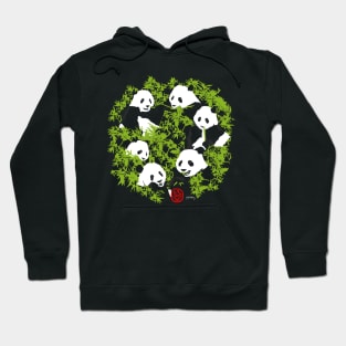 Panda and Bamboo Hoodie